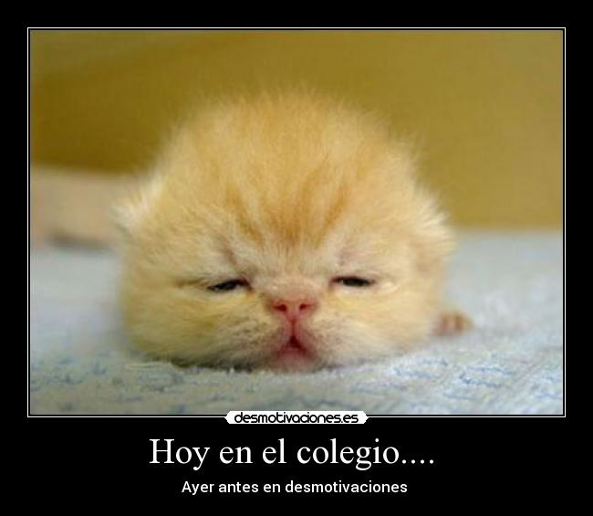 Hoy en el colegio....  - Ayer antes en desmotivaciones 