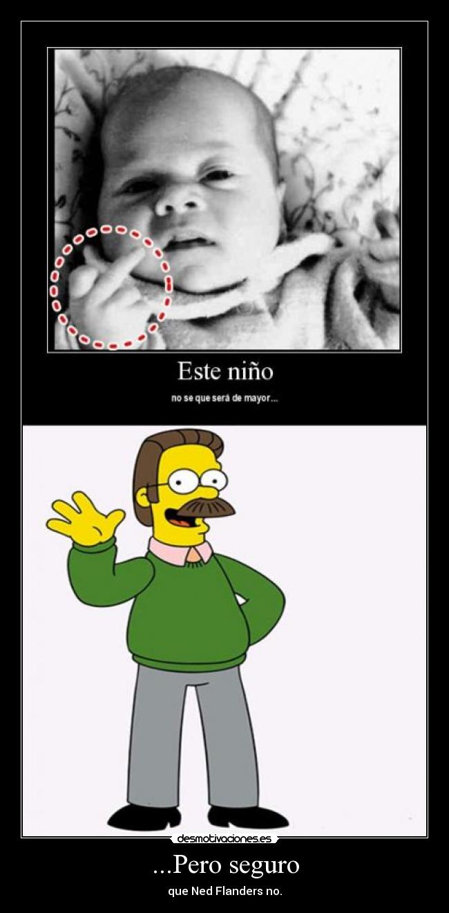 ...Pero seguro - que Ned Flanders no.