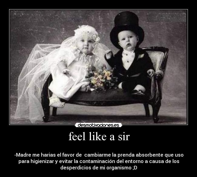 feel like a sir -
-Madre me harias el favor de cambiarme la prenda absorbente que uso
para higienizar y evitar la contaminación del entorno a causa de los
desperdicios de mi organismo ;D