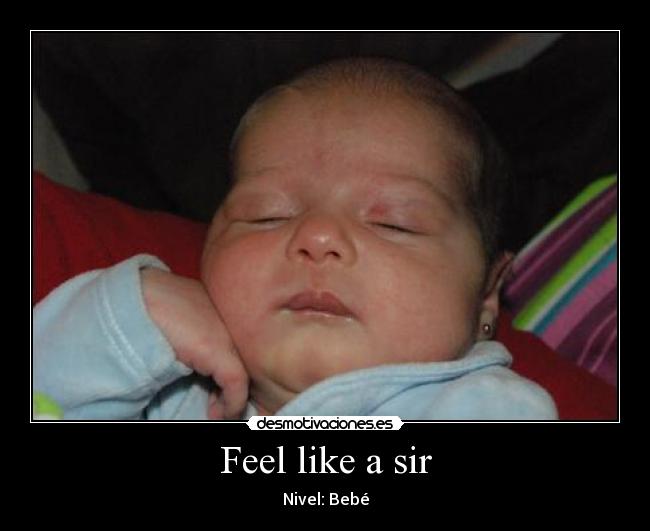 Feel like a sir - 