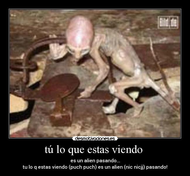 tú lo que estas viendo  - 