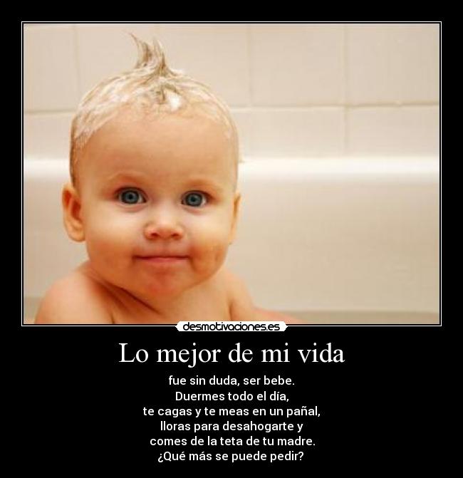 carteles vida bebebe desmotivaciones