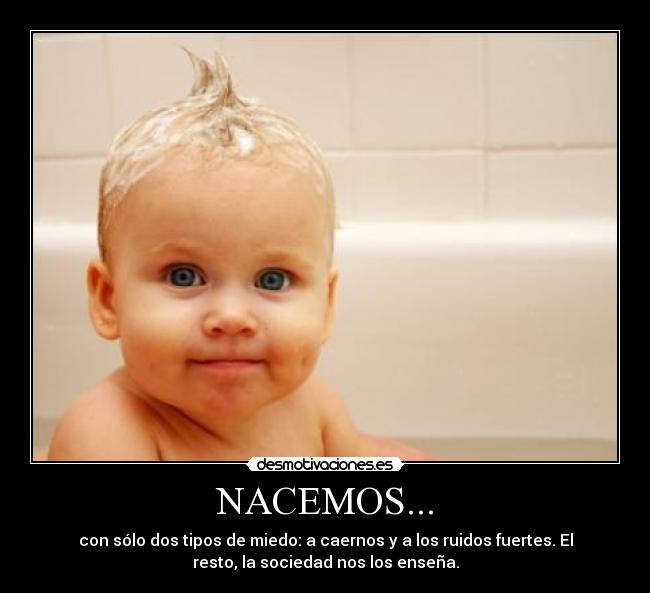 NACEMOS... -