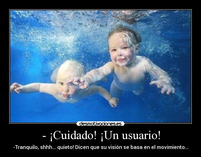 - ¡Cuidado! ¡Un usuario! - -Tranquilo, shhh... quieto! Dicen que su visión se basa en el movimiento...