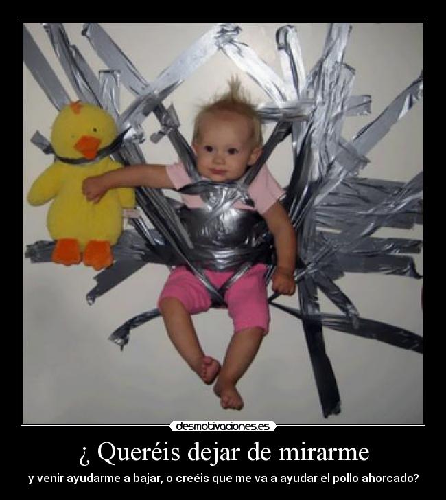 ¿ Queréis dejar de mirarme - y venir ayudarme a bajar, o creéis que me va a ayudar el pollo ahorcado?