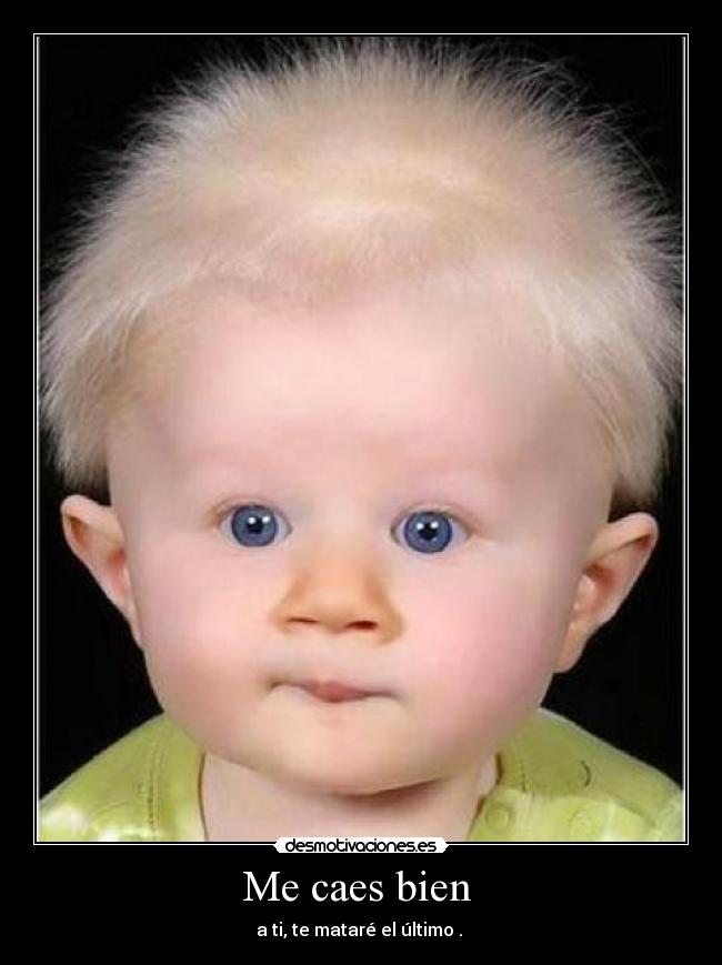 Me caes bien  - 