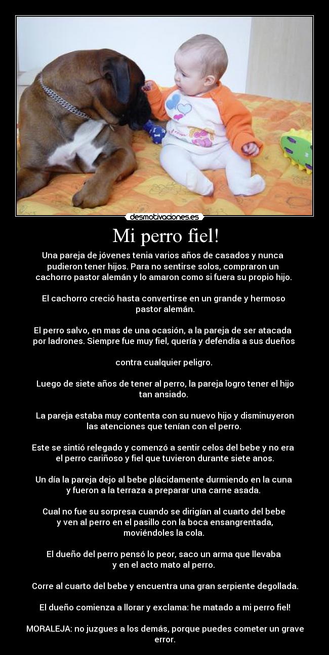 Mi perro fiel! Desmotivaciones