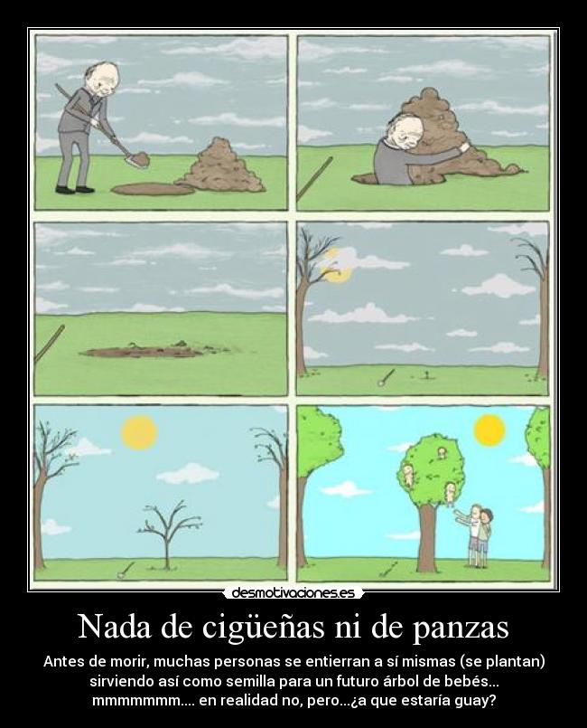 Nada de cigüeñas ni de panzas - Antes de morir, muchas personas se entierran a sí mismas (se plantan)
sirviendo así como semilla para un futuro árbol de bebés...
mmmmmmm.... en realidad no, pero...¿a que estaría guay?