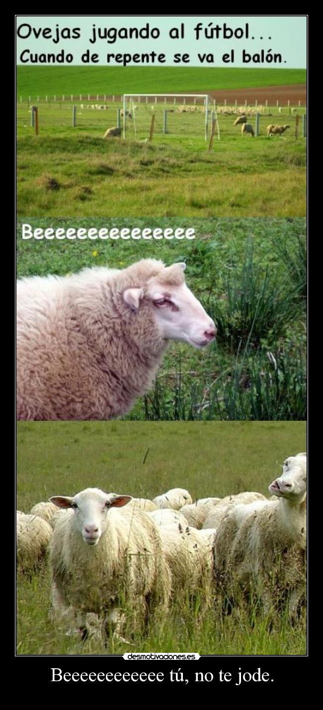 carteles beeeeeeeeee tu jode desmotivaciones