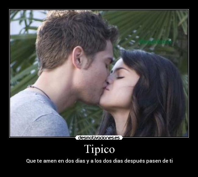 Tipico - 