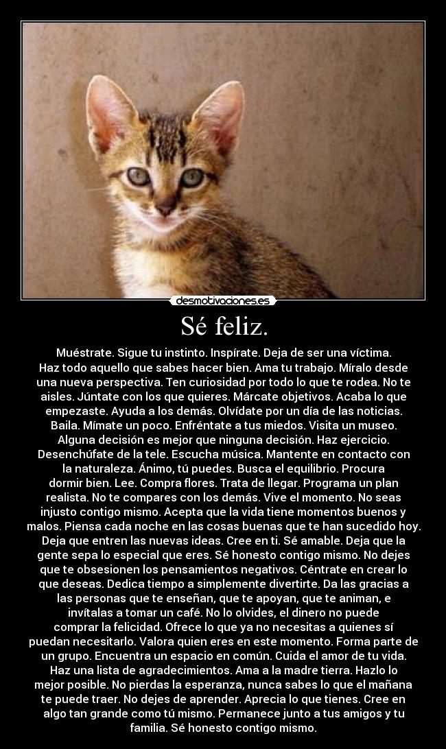 Sé feliz. - Muéstrate. Sigue tu instinto. Inspírate. Deja de ser una víctima.
Haz todo aquello que sabes hacer bien. Ama tu trabajo. Míralo desde
una nueva perspectiva. Ten curiosidad por todo lo que te rodea. No te
aisles. Júntate con los que quieres. Márcate objetivos. Acaba lo que
empezaste. Ayuda a los demás. Olvídate por un día de las noticias.
Baila. Mímate un poco. Enfréntate a tus miedos. Visita un museo.
Alguna decisión es mejor que ninguna decisión. Haz ejercicio.
Desenchúfate de la tele. Escucha música. Mantente en contacto con
la naturaleza. Ánimo, tú puedes. Busca el equilibrio. Procura
dormir bien. Lee. Compra flores. Trata de llegar. Programa un plan
realista. No te compares con los demás. Vive el momento. No seas
injusto contigo mismo. Acepta que la vida tiene momentos buenos y
malos. Piensa cada noche en las cosas buenas que te han sucedido hoy.
Deja que entren las nuevas ideas. Cree en ti. Sé amable. Deja que la
gente sepa lo especial que eres. Sé honesto contigo mismo. No dejes
que te obsesionen los pensamientos negativos. Céntrate en crear lo
que deseas. Dedica tiempo a simplemente divertirte. Da las gracias a
las personas que te enseñan, que te apoyan, que te animan, e
invítalas a tomar un café. No lo olvides, el dinero no puede
comprar la felicidad. Ofrece lo que ya no necesitas a quienes sí
puedan necesitarlo. Valora quien eres en este momento. Forma parte de
un grupo. Encuentra un espacio en común. Cuida el amor de tu vida.
Haz una lista de agradecimientos. Ama a la madre tierra. Hazlo lo
mejor posible. No pierdas la esperanza, nunca sabes lo que el mañana
te puede traer. No dejes de aprender. Aprecia lo que tienes. Cree en
algo tan grande como tú mismo. Permanece junto a tus amigos y tu
familia. Sé honesto contigo mismo.