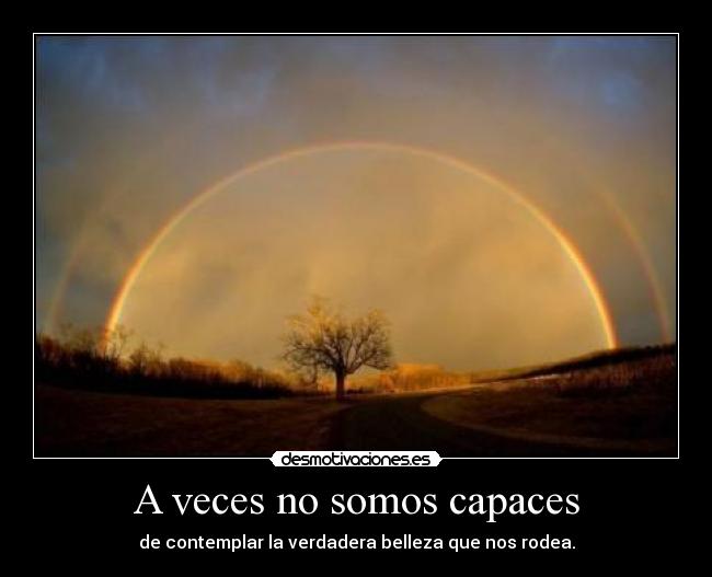 A veces no somos capaces - de contemplar la verdadera belleza que nos rodea.