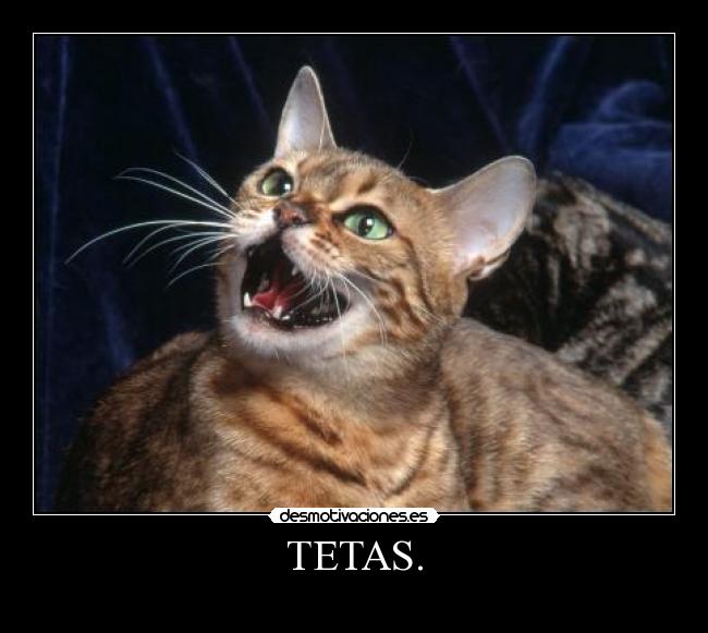 TETAS. -