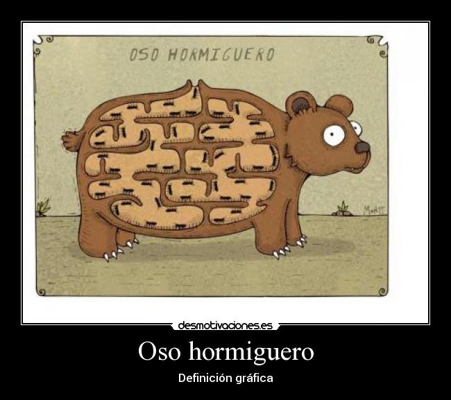 Oso hormiguero - Definición gráfica