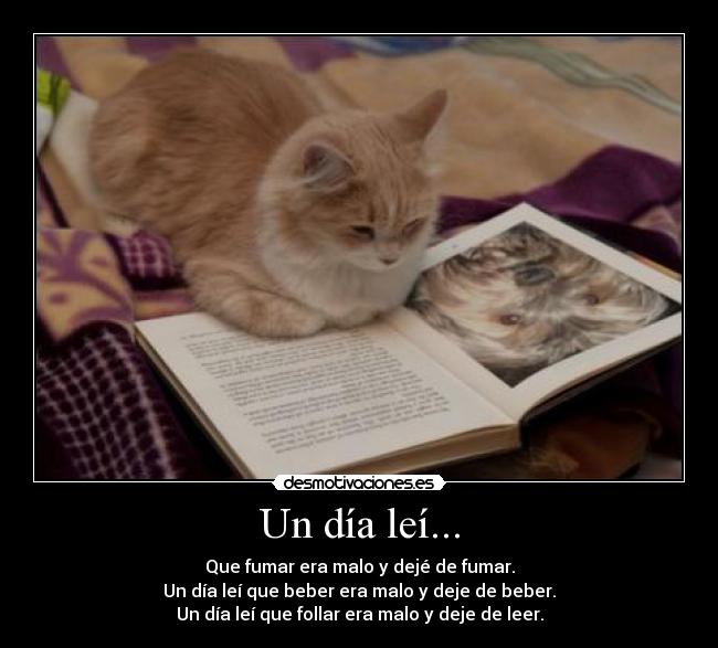 Un día leí... -