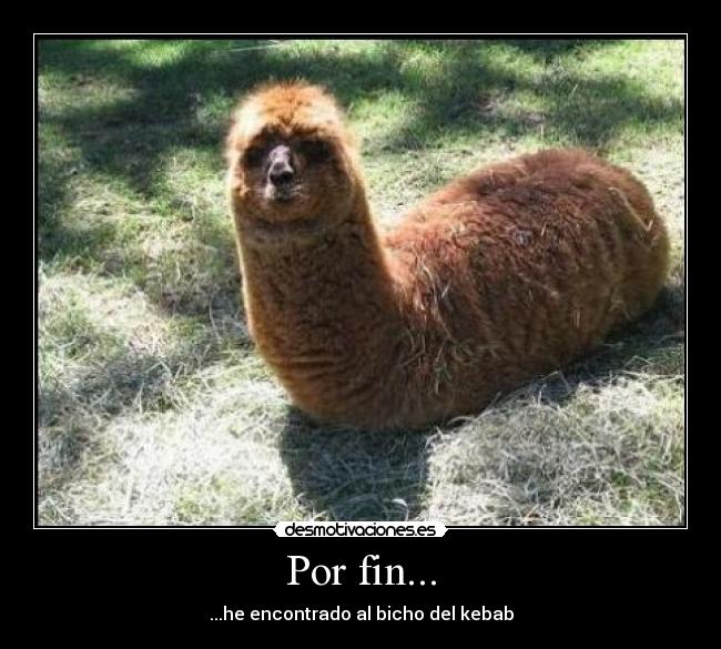Por fin... - ...he encontrado al bicho del kebab