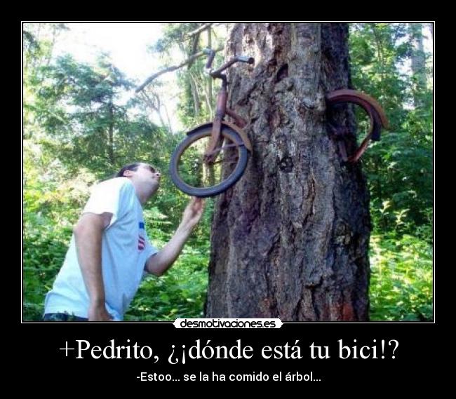 +Pedrito, ¿¡dónde está tu bici!? - -Estoo... se la ha comido el árbol...