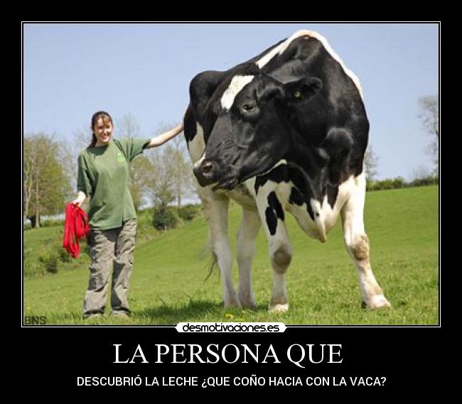 LA PERSONA QUE -