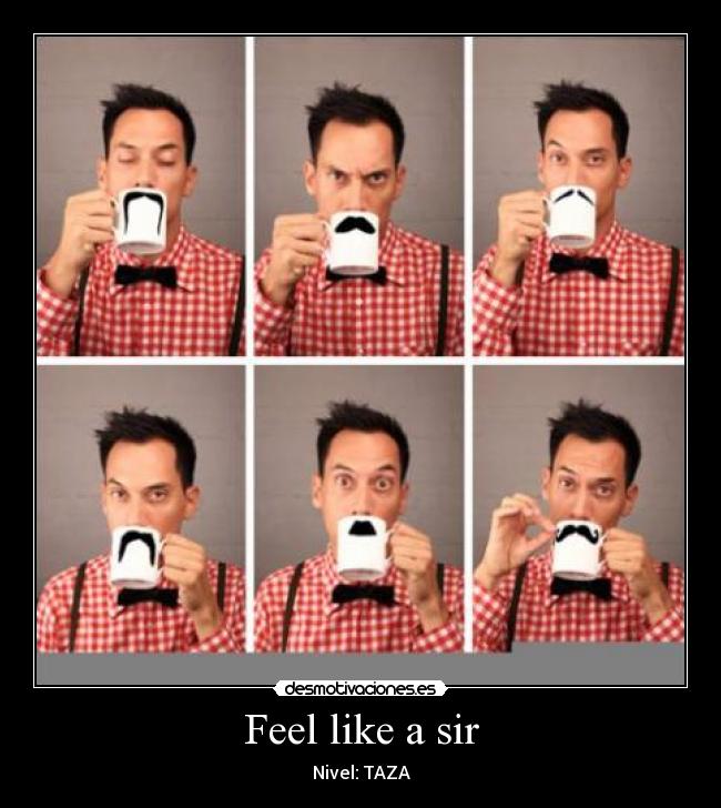 Feel like a sir - Nivel: TAZA