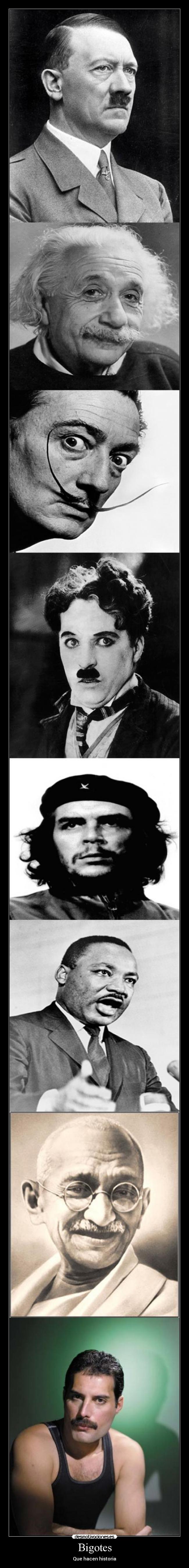 Bigotes - Que hacen historia