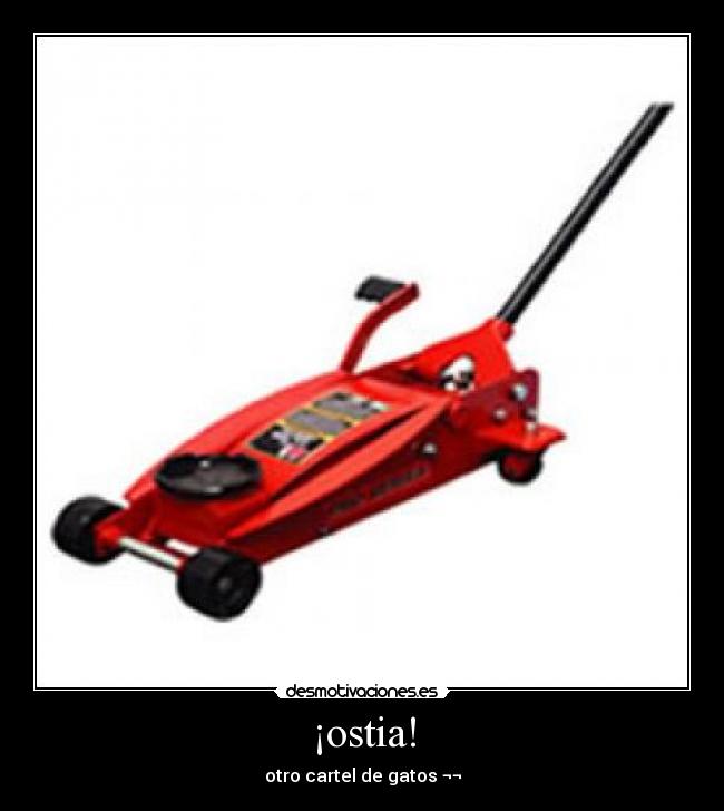 carteles cartel gatos desmotivaciones
