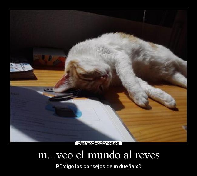m...veo el mundo al reves -