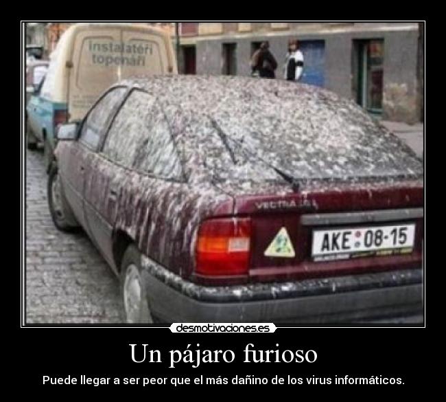 Un pájaro furioso - 