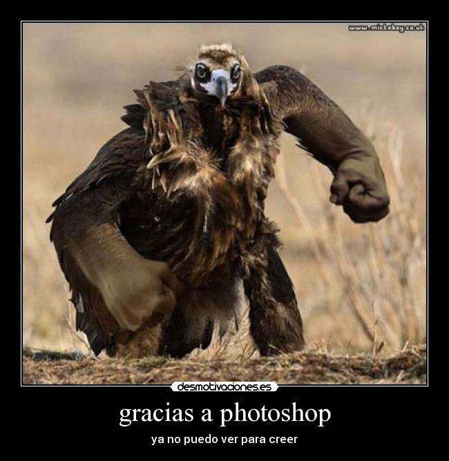 gracias a photoshop - ya no puedo ver para creer