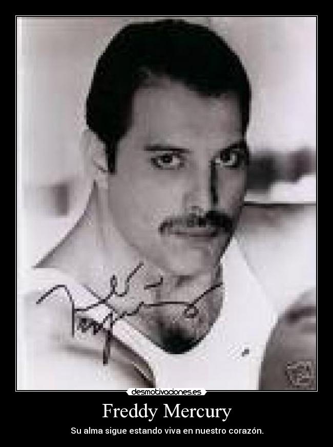 Freddy Mercury -