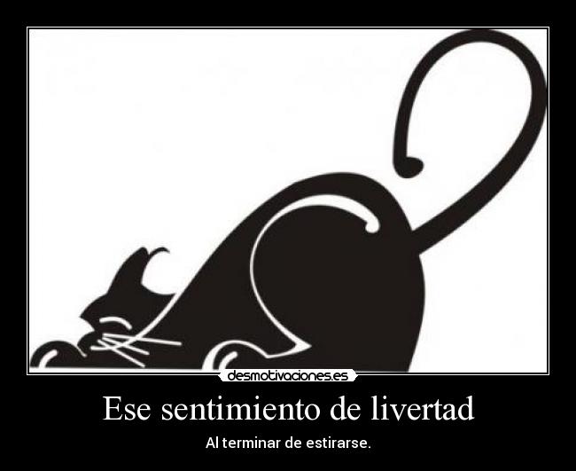 Ese sentimiento de livertad - Al terminar de estirarse.