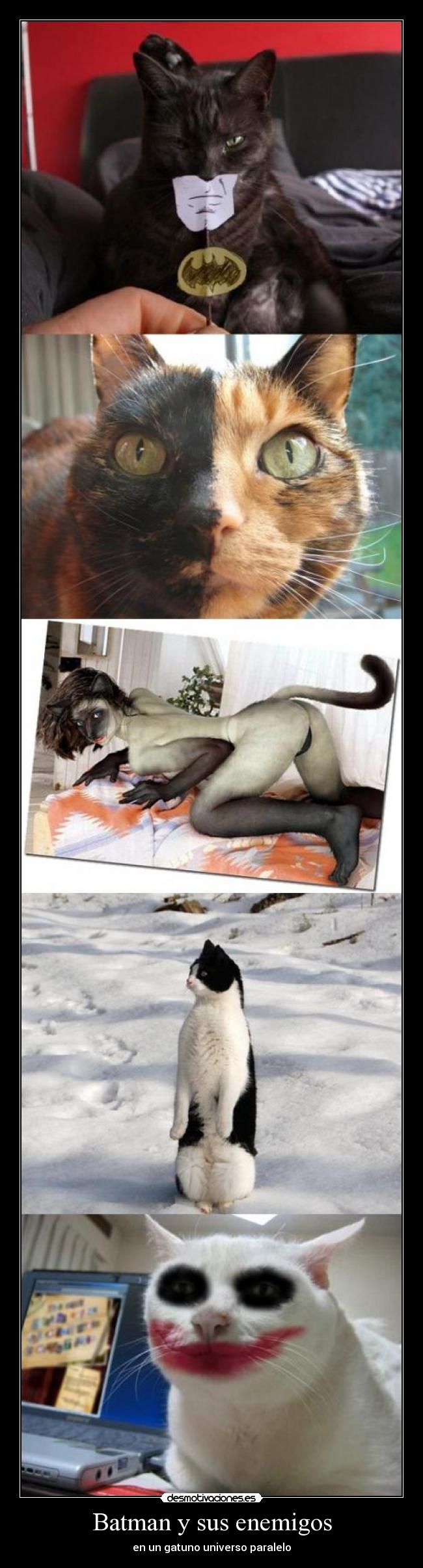Batman y sus enemigos - en un gatuno universo paralelo