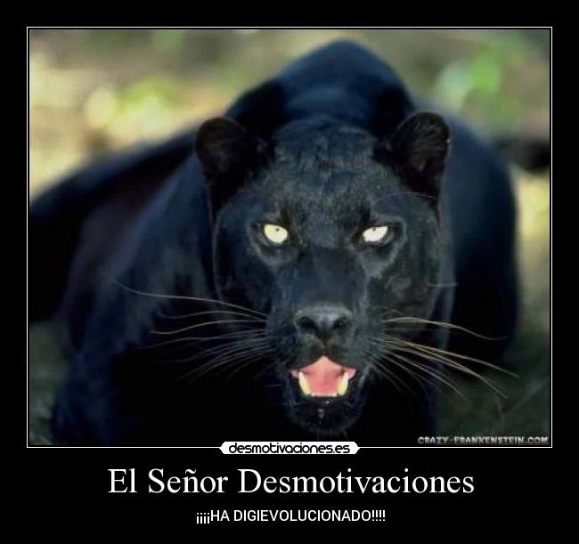 El Señor Desmotivaciones -