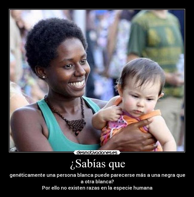 carteles sabias que geneticamente una persona blanca puede parecerse mas auna negra que otra blanca desmotivaciones