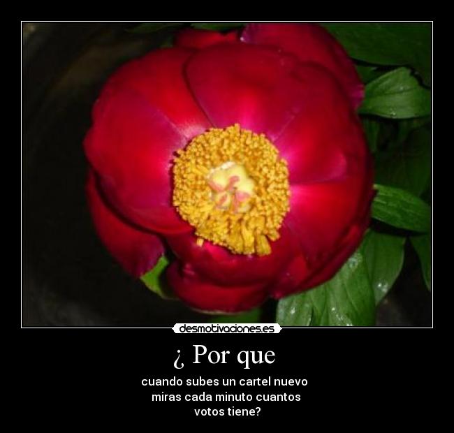 ¿ Por que - cuando subes un cartel nuevo
miras cada minuto cuantos
votos tiene?