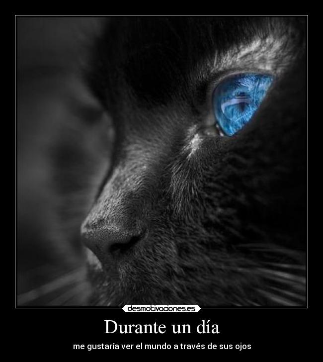 Durante un día - me gustaría ver el mundo a través de sus ojos