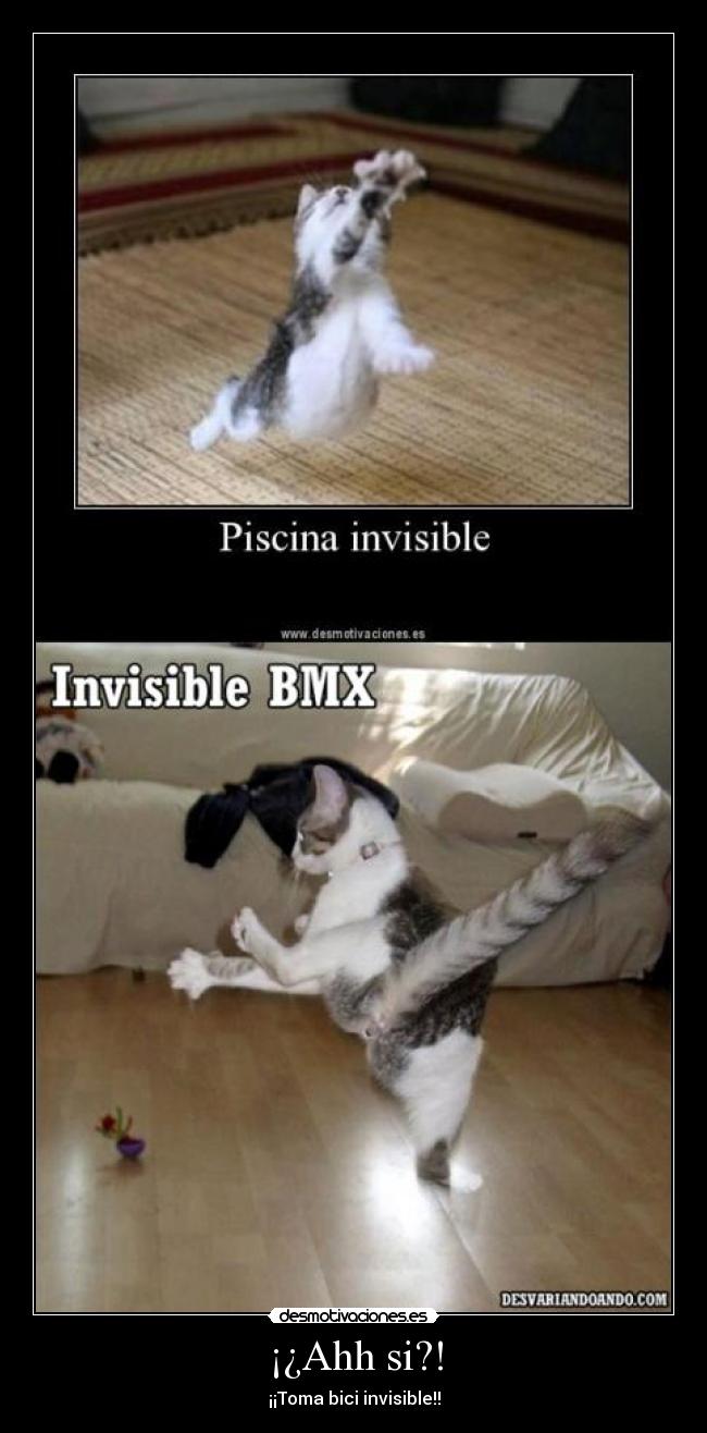¡¿Ahh si?! - ¡¡Toma bici invisible!!