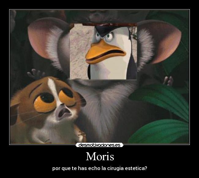 Moris -
