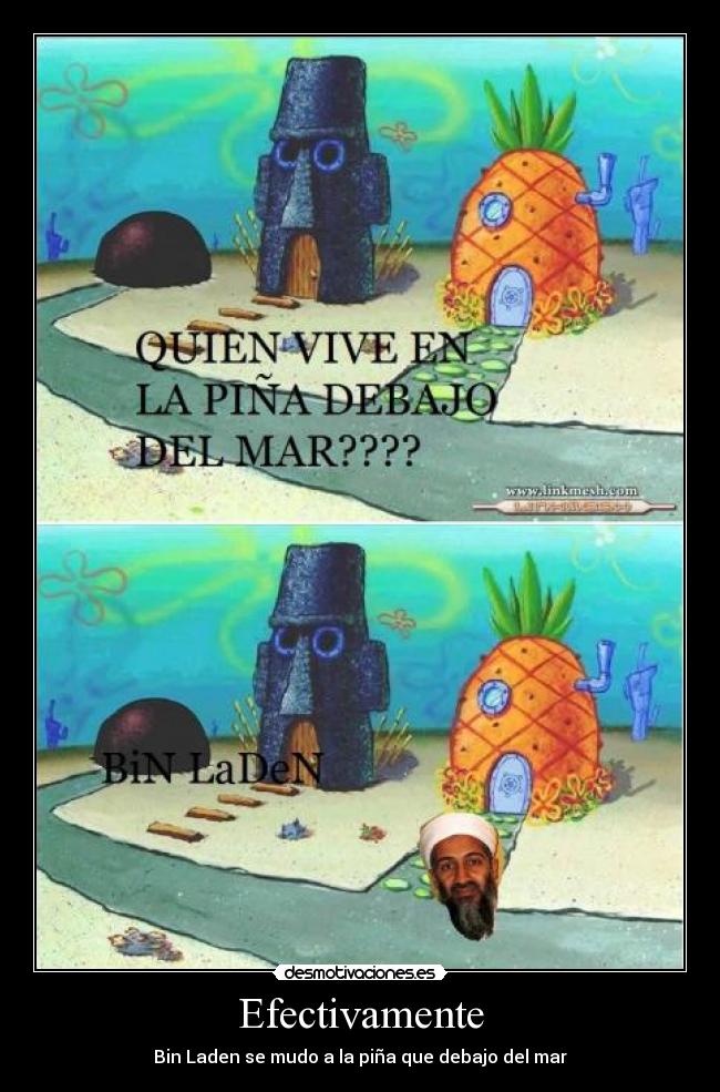 Efectivamente - Bin Laden se mudo a la piña que debajo del mar