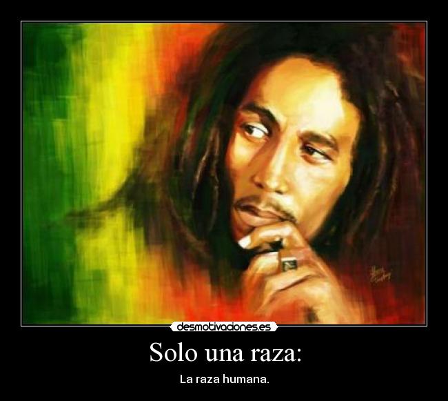 carteles bobmarley desmotivaciones