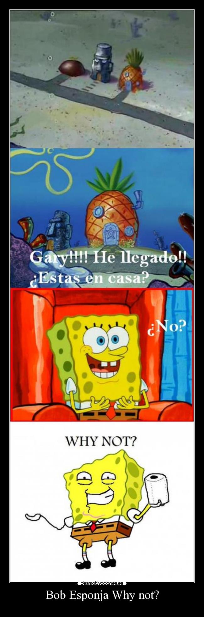 Bob Esponja Why not? -