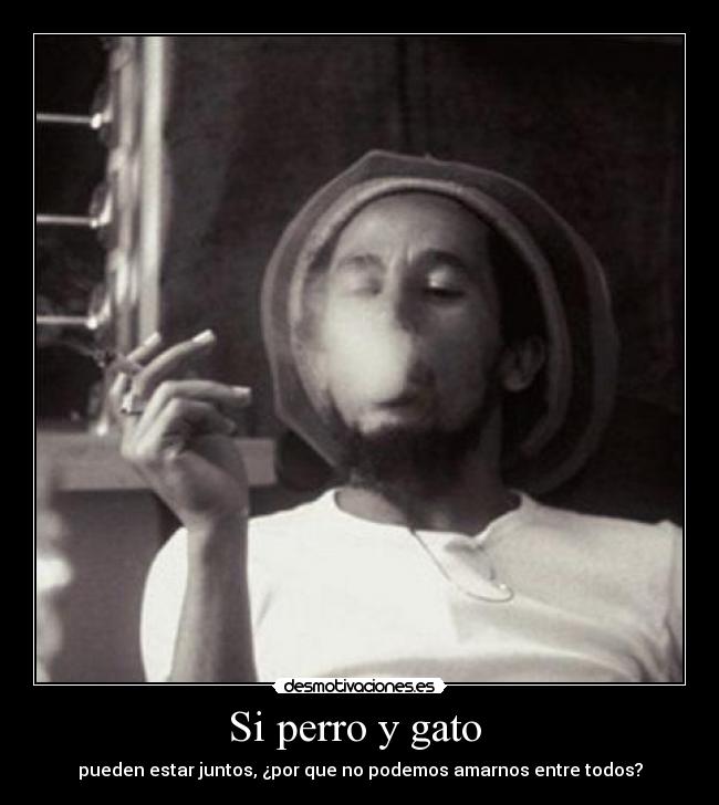 Si perro y gato  - 