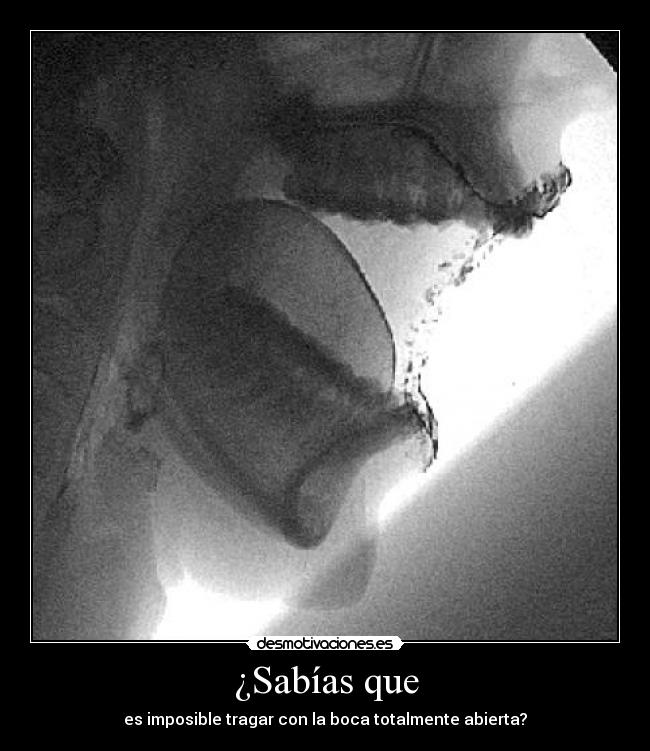 ¿Sabías que - es imposible tragar con la boca totalmente abierta?