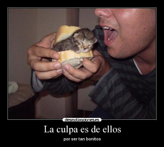 La culpa es de ellos - por ser tan bonitos