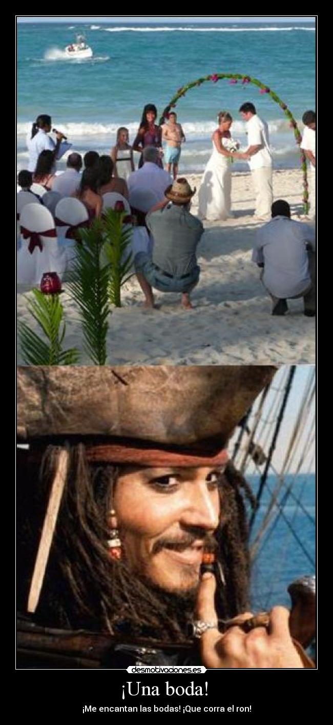 ¡Una boda! - ¡Me encantan las bodas! ¡Que corra el ron!
