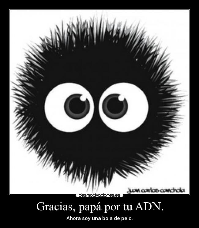 Gracias, papá por tu ADN. - Ahora soy una bola de pelo.
