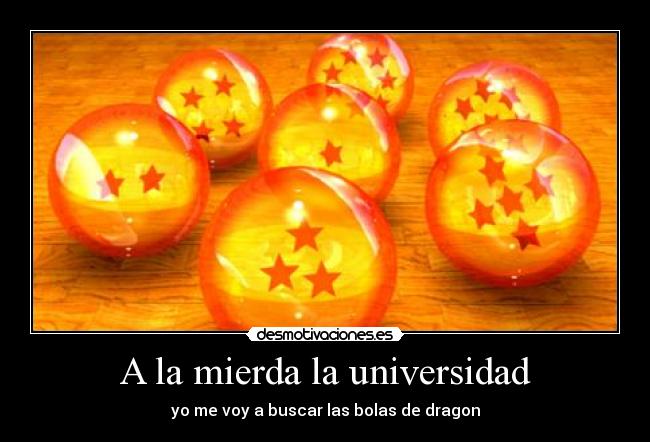 A la mierda la universidad -