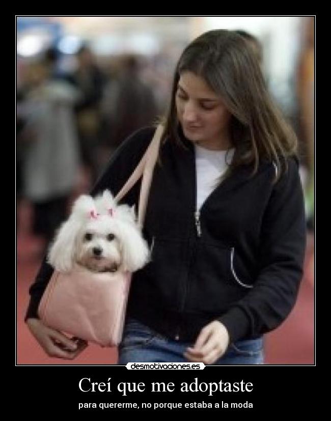 Creí que me adoptaste -