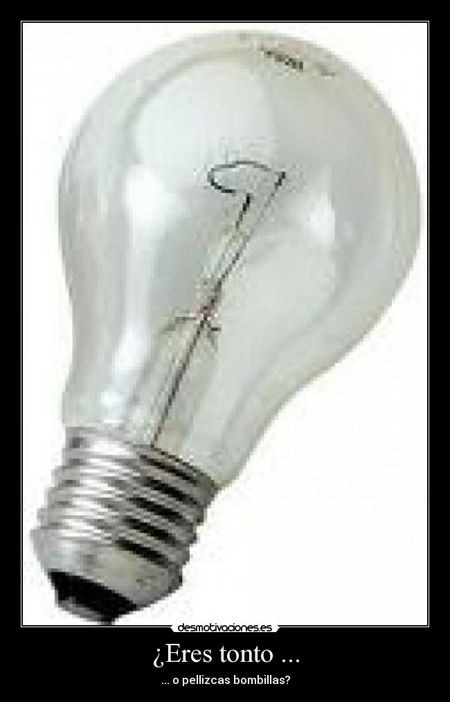 ¿Eres tonto ... - ... o pellizcas bombillas?