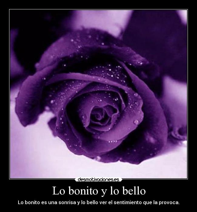 Lo bonito y lo bello - Lo bonito es una sonrisa y lo bello ver el sentimiento que la provoca.