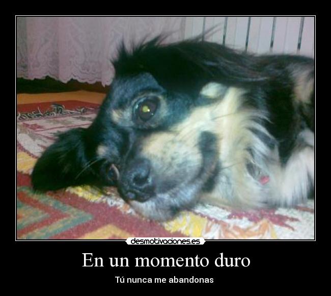 carteles bony desmotivaciones